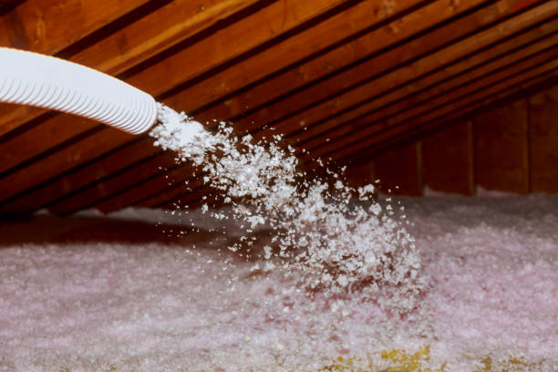 Best Commercial Insulation in Sylvester, GA
